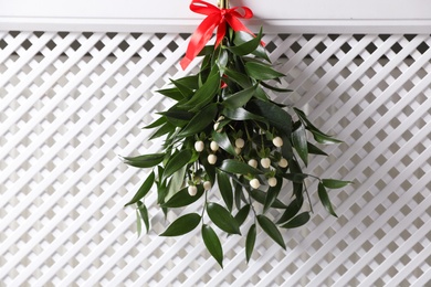 Photo of Mistletoe bunch with red bow hanging on white textured background. Traditional Christmas decor