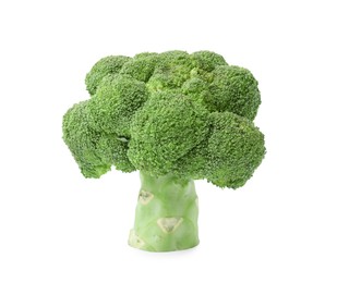 Photo of Fresh raw green broccoli isolated on white