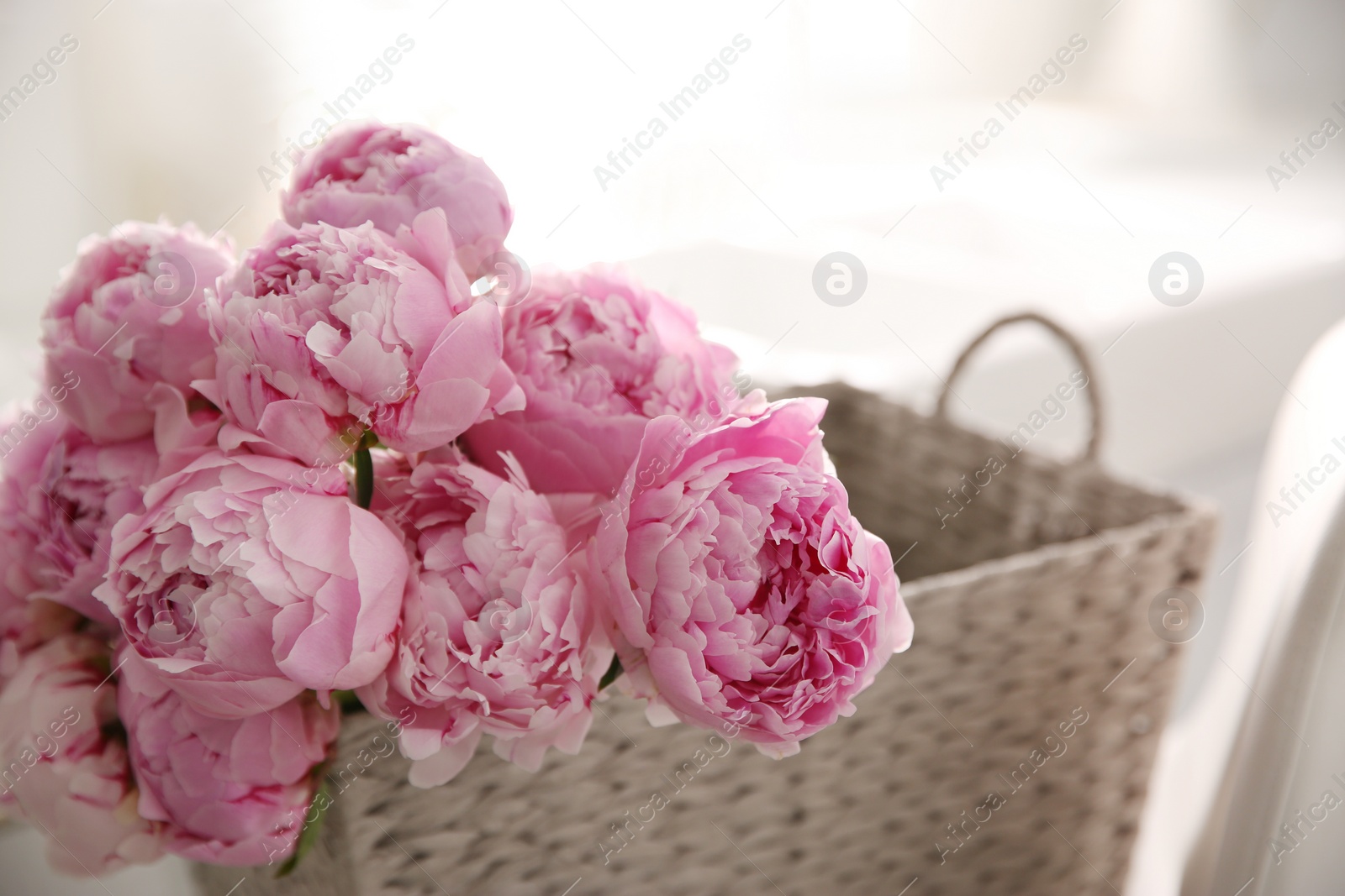 Photo of Basket with beautiful pink peonies in kitchen, closeup