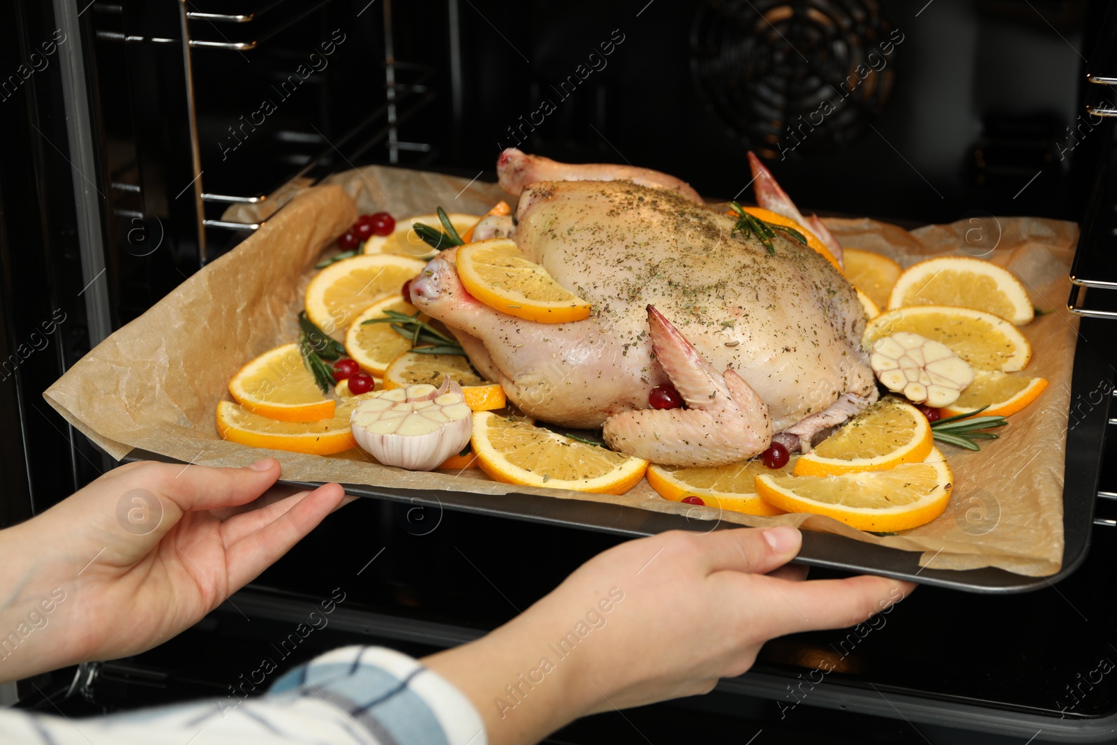 Photo of Woman putting chicken with orange slices into oven, closeup