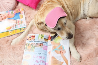 Photo of Cute Labrador Retriever with sleep mask and magazines on bed, above view