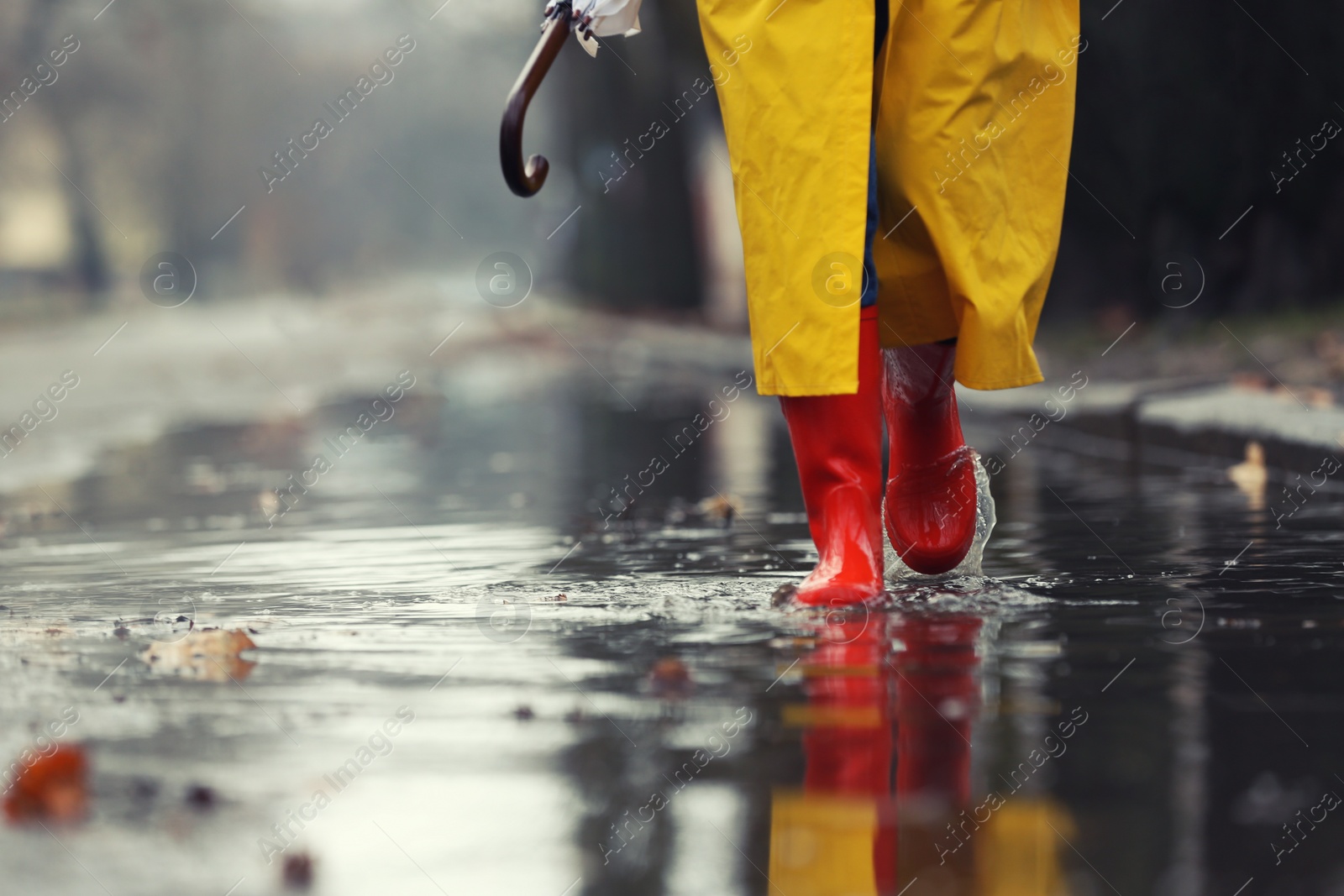 Photo of Woman in rubber boots walking outdoors on rainy day, closeup. Space for text