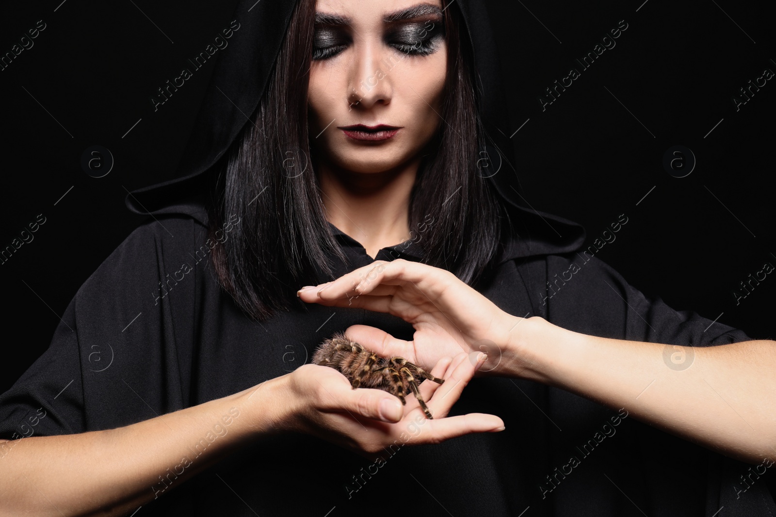 Photo of Mysterious witch with spooky spider on black background, closeup