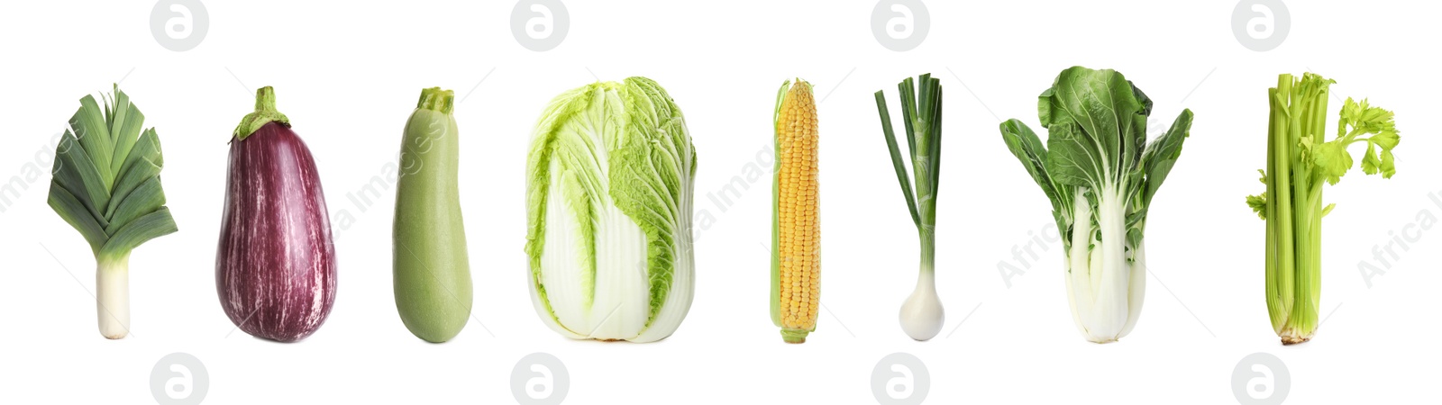 Image of Collection of different fresh vegetables on white background. Banner design