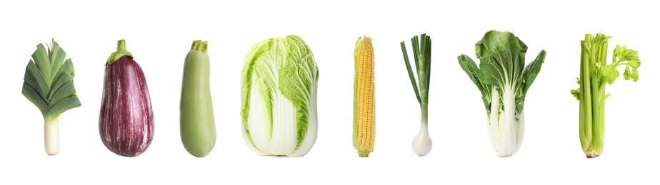 Image of Collection of different fresh vegetables on white background. Banner design