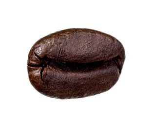 One aromatic roasted coffee bean isolated on white
