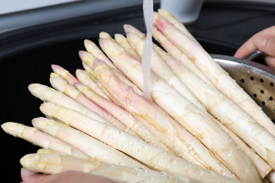 Photo of Woman washing fresh white asparagus over sink, closeup