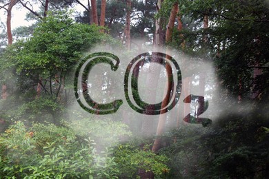 Image of Concept of clear air. CO2 inscription and beautiful forest