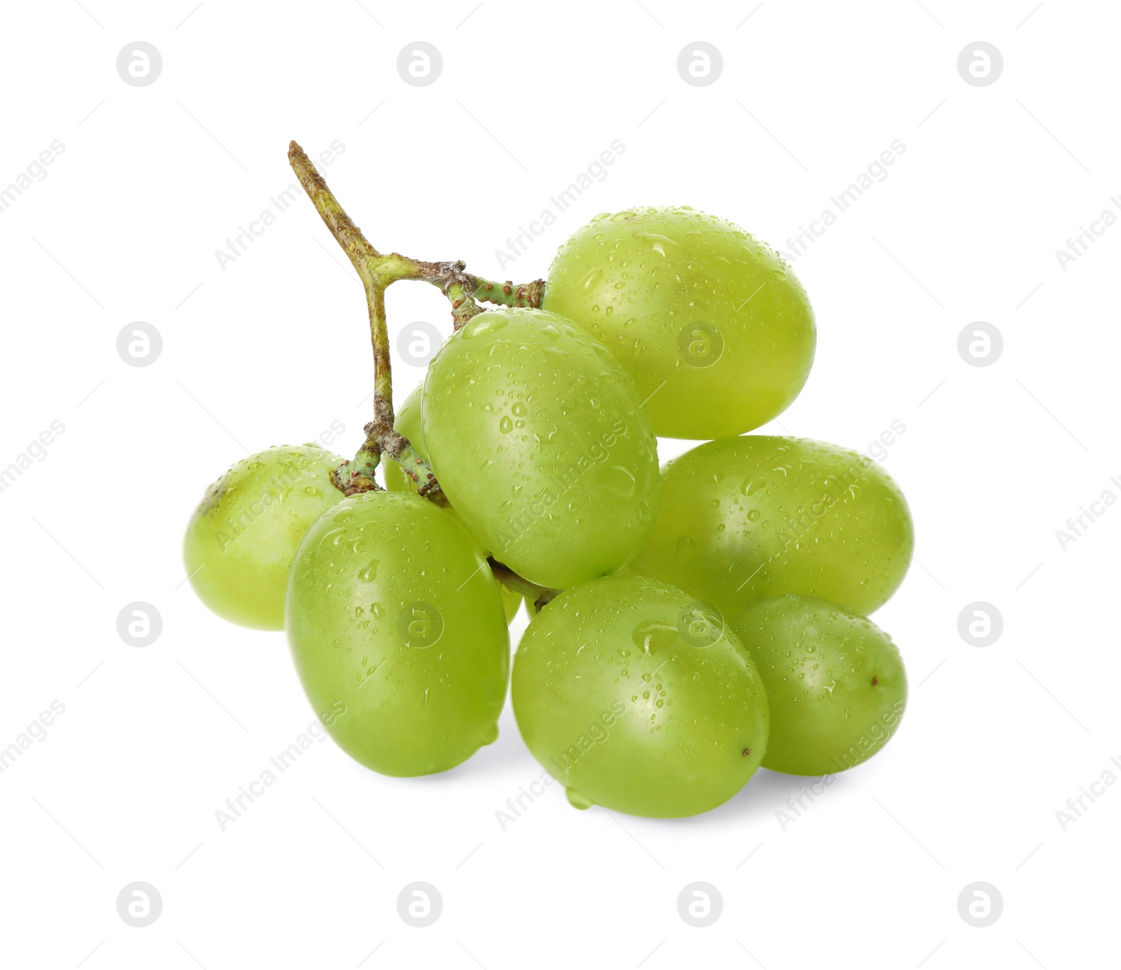 Photo of Fresh grapes with water drops isolated on white