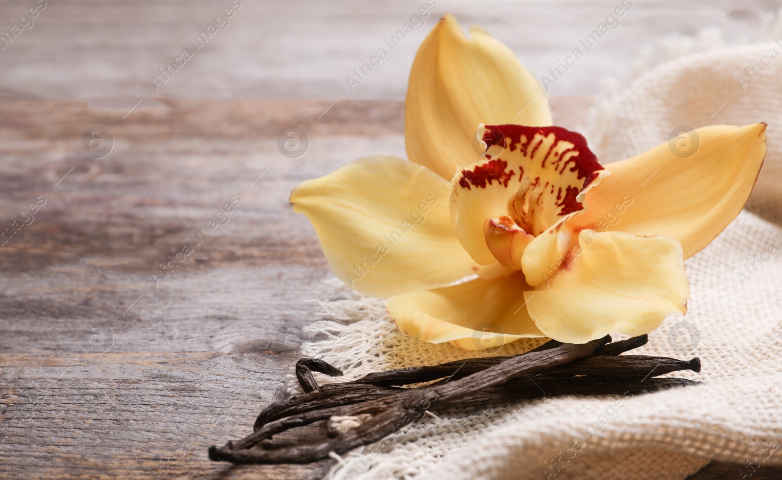 Photo of Vanilla sticks and flower on wooden background