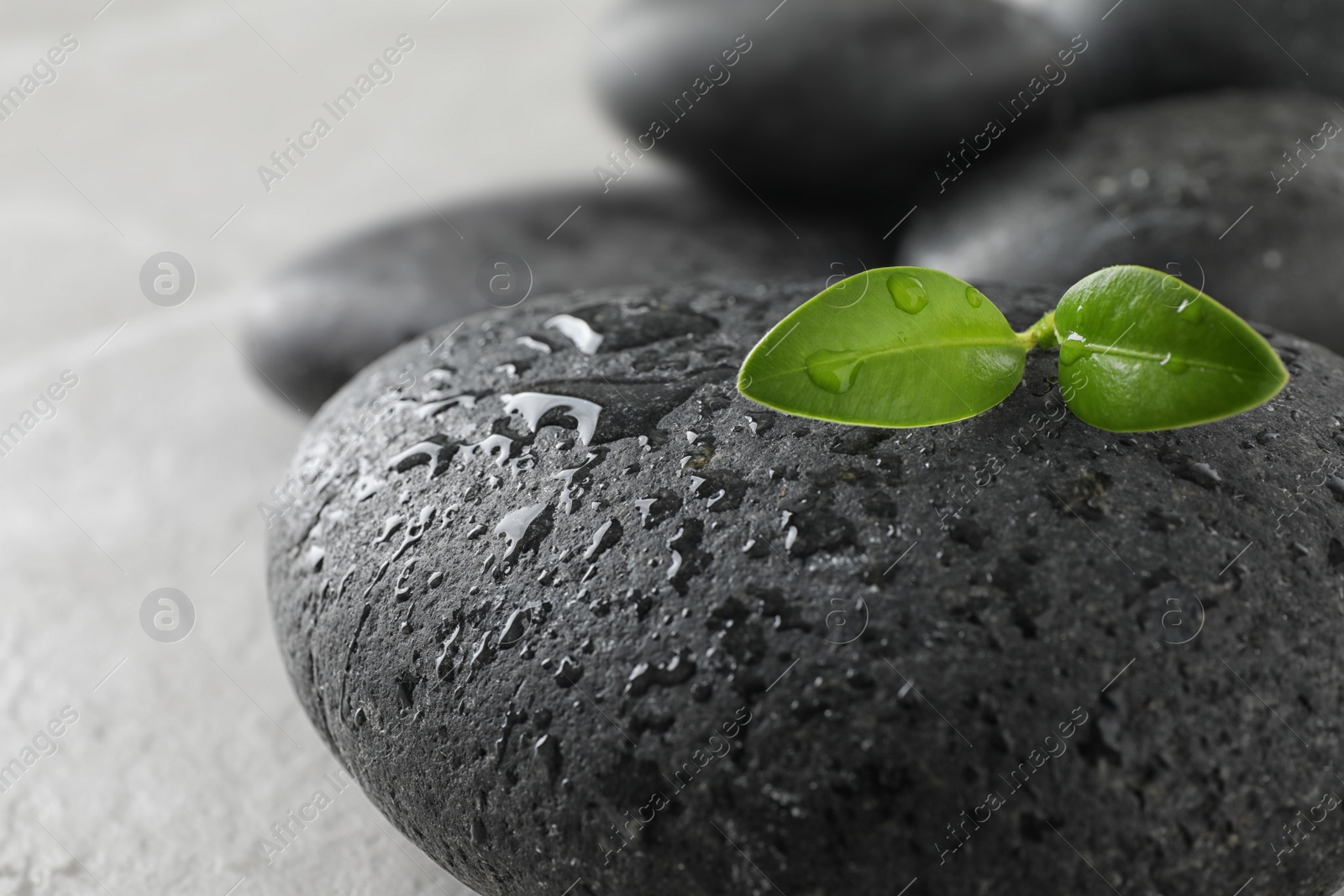 Photo of Spa stones and green leaves with water drops on grey table, space for text