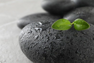 Spa stones and green leaves with water drops on grey table, space for text