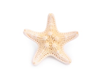 Photo of Beautiful sea star (starfish) isolated on white