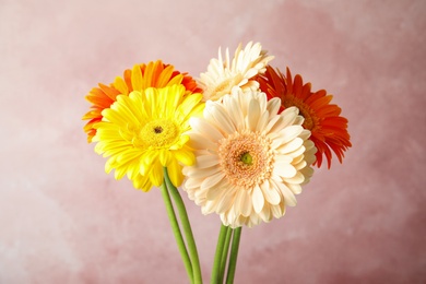 Photo of Bouquet of beautiful bright gerbera flowers on color background