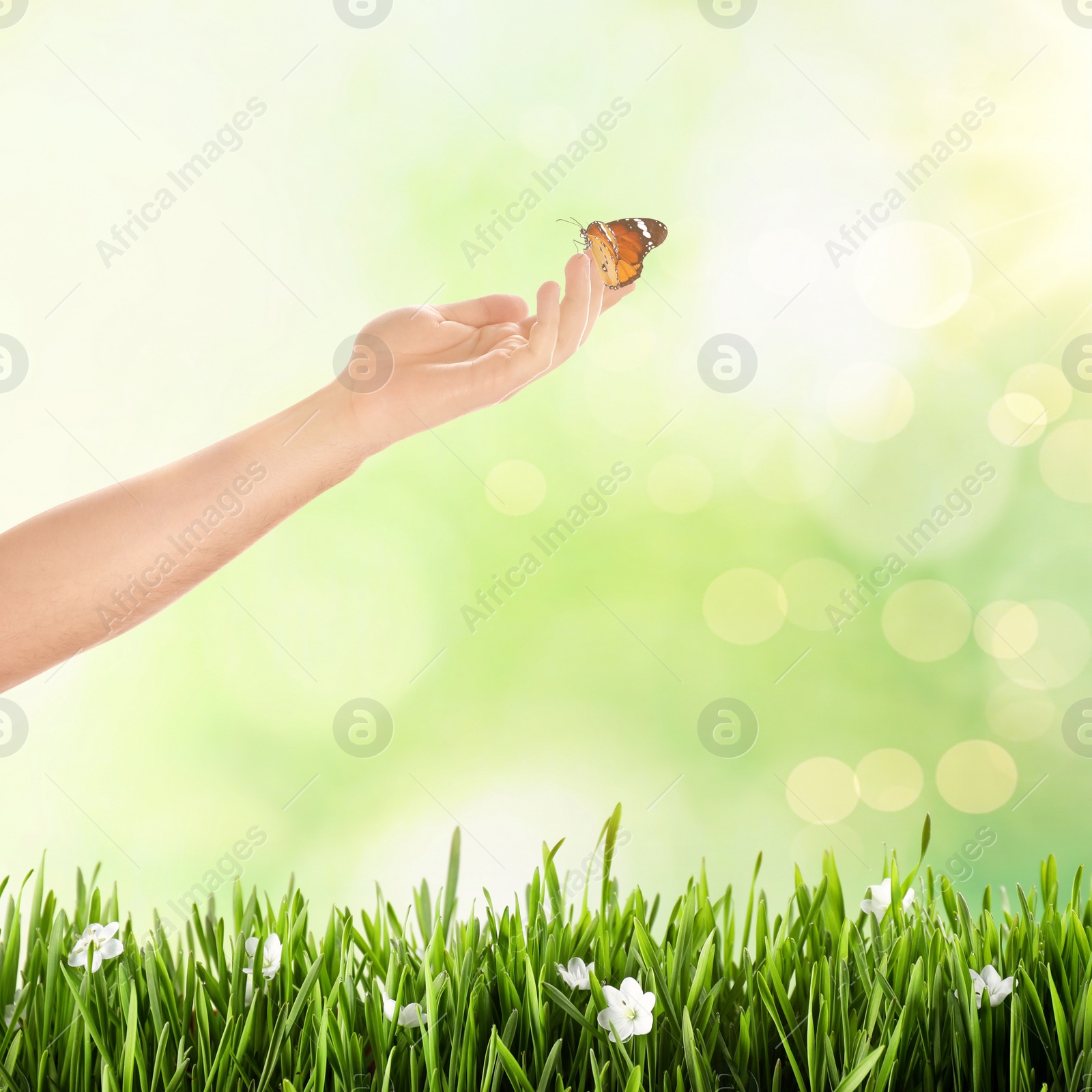 Image of Woman with monarch butterfly against blurred green background, closeup