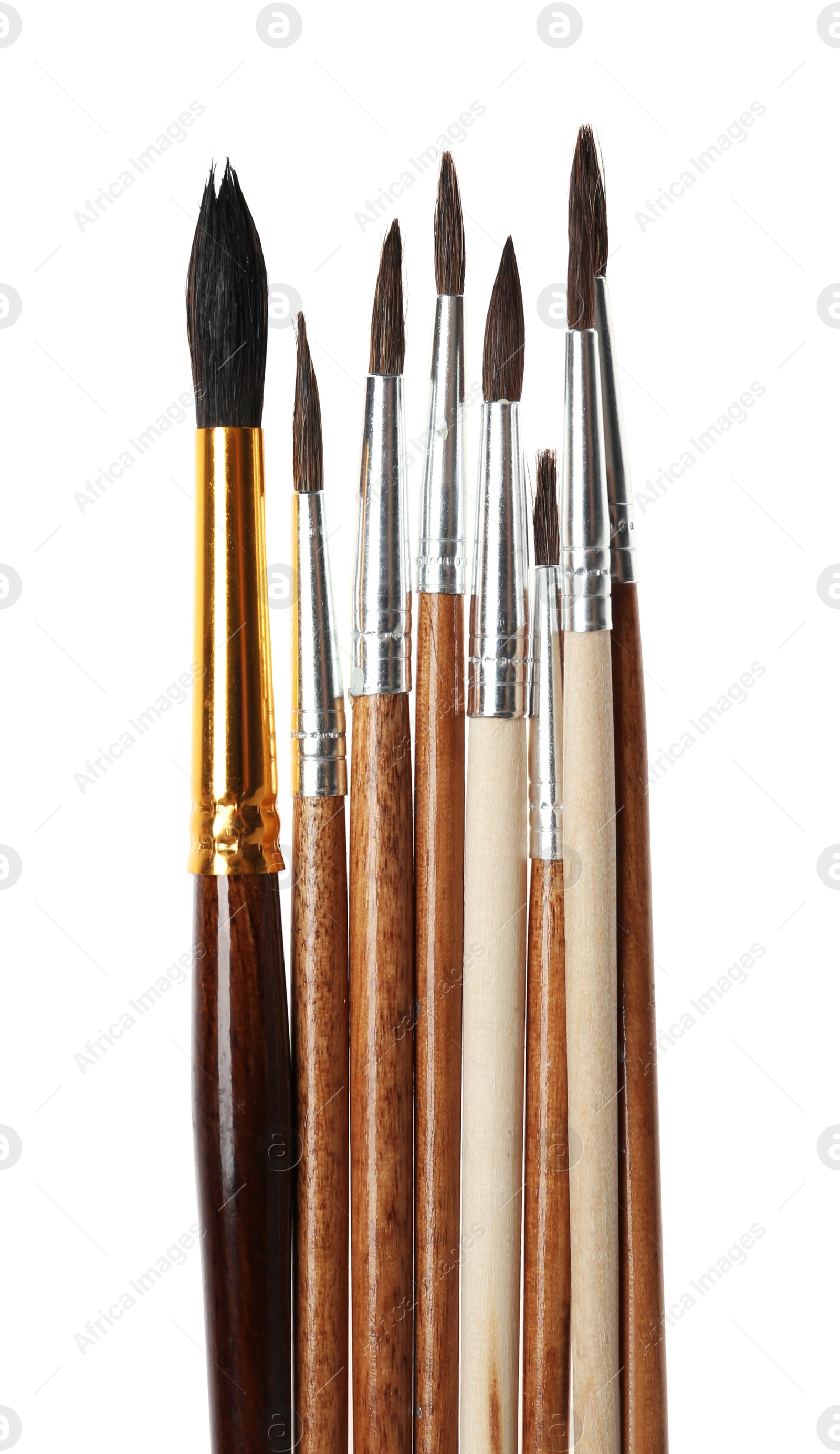 Photo of Set of different paint brushes on white background