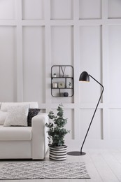 Living room with stylish sofa, beautiful eucalyptus and decorative elements. Interior design