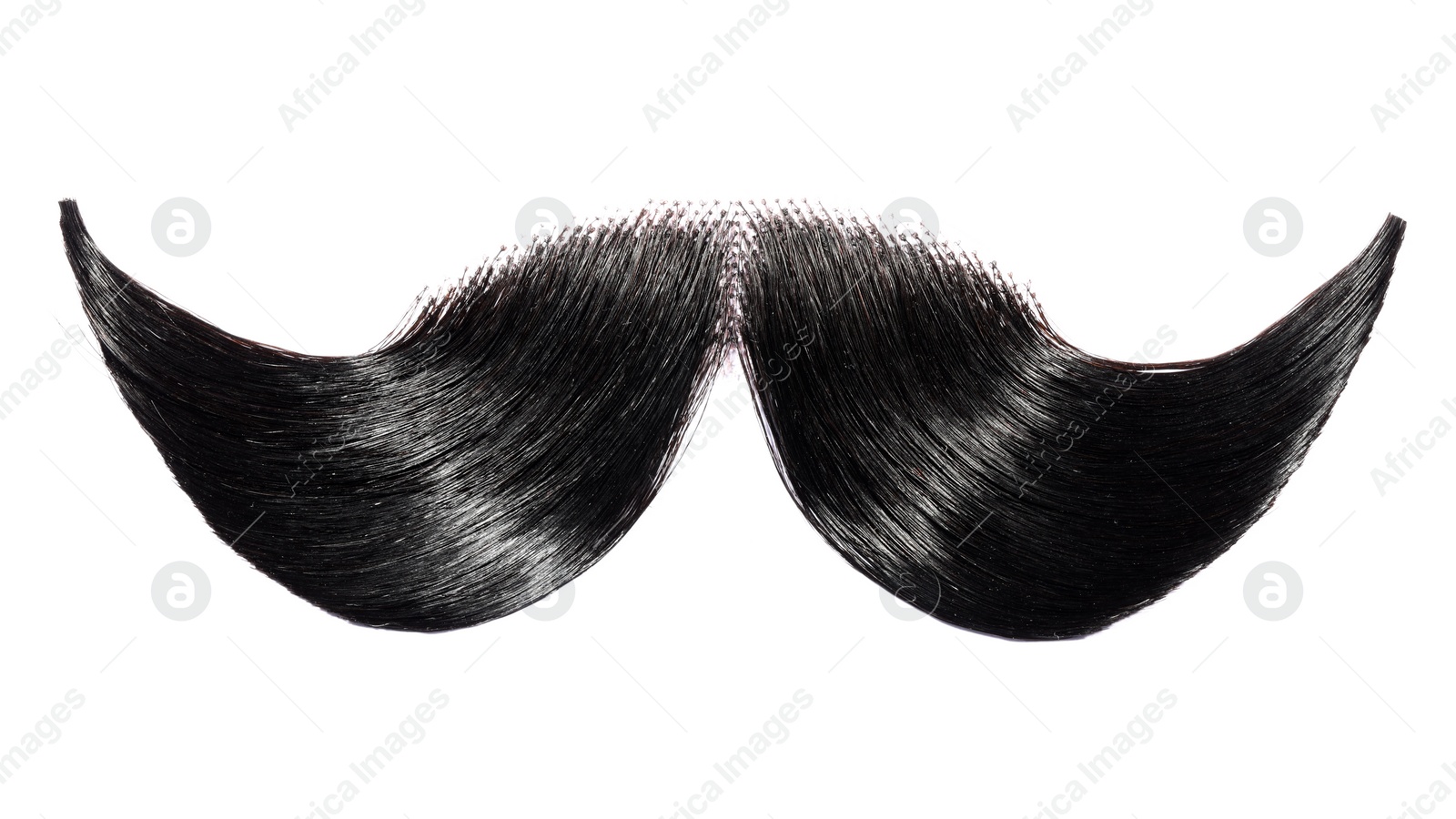 Photo of Stylish artificial black moustache isolated on white