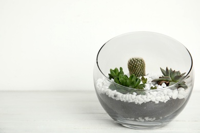 Photo of Glass florarium with different succulents on wooden table against white background, space for text