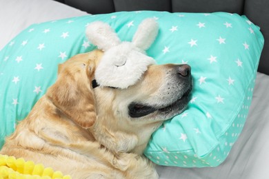 Photo of Cute Labrador Retriever with sleep mask resting on pillow in bed