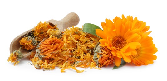 Photo of Pile of dry and fresh calendula flowers with wooden scoop on white background
