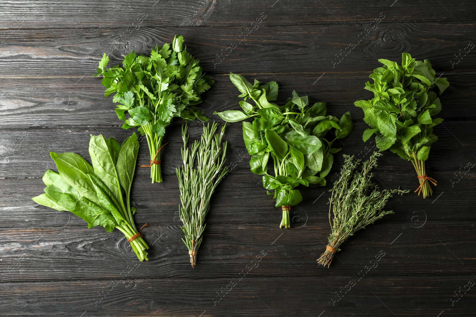 Photo of Different fresh herbs on wooden table, top view