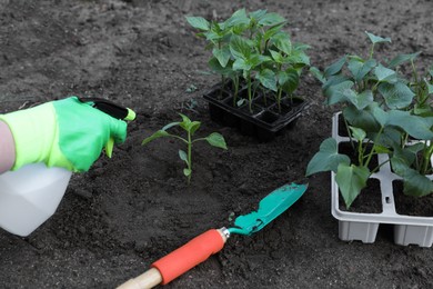 Photo of Woman wearing gardening gloves spraying with water seedling growing in ground outdoors, closeup