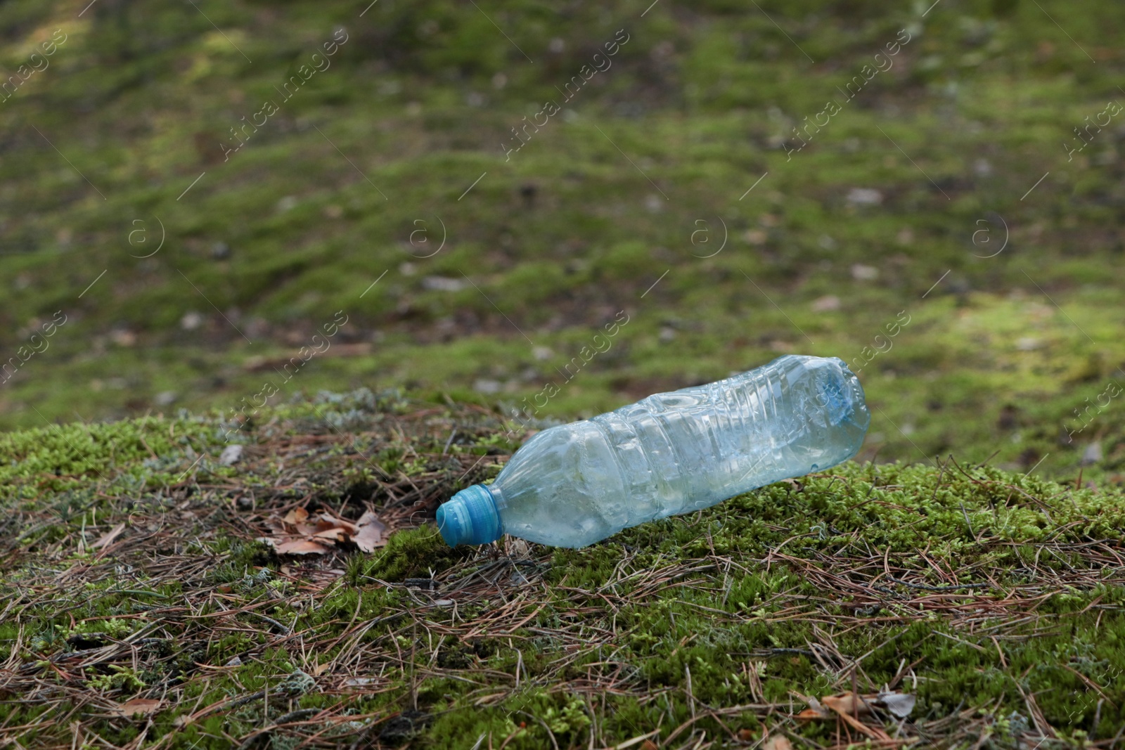 Photo of Used plastic bottle on grass in forest. Recycling problem