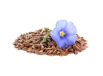 Photo of Flax flower and seeds on white background