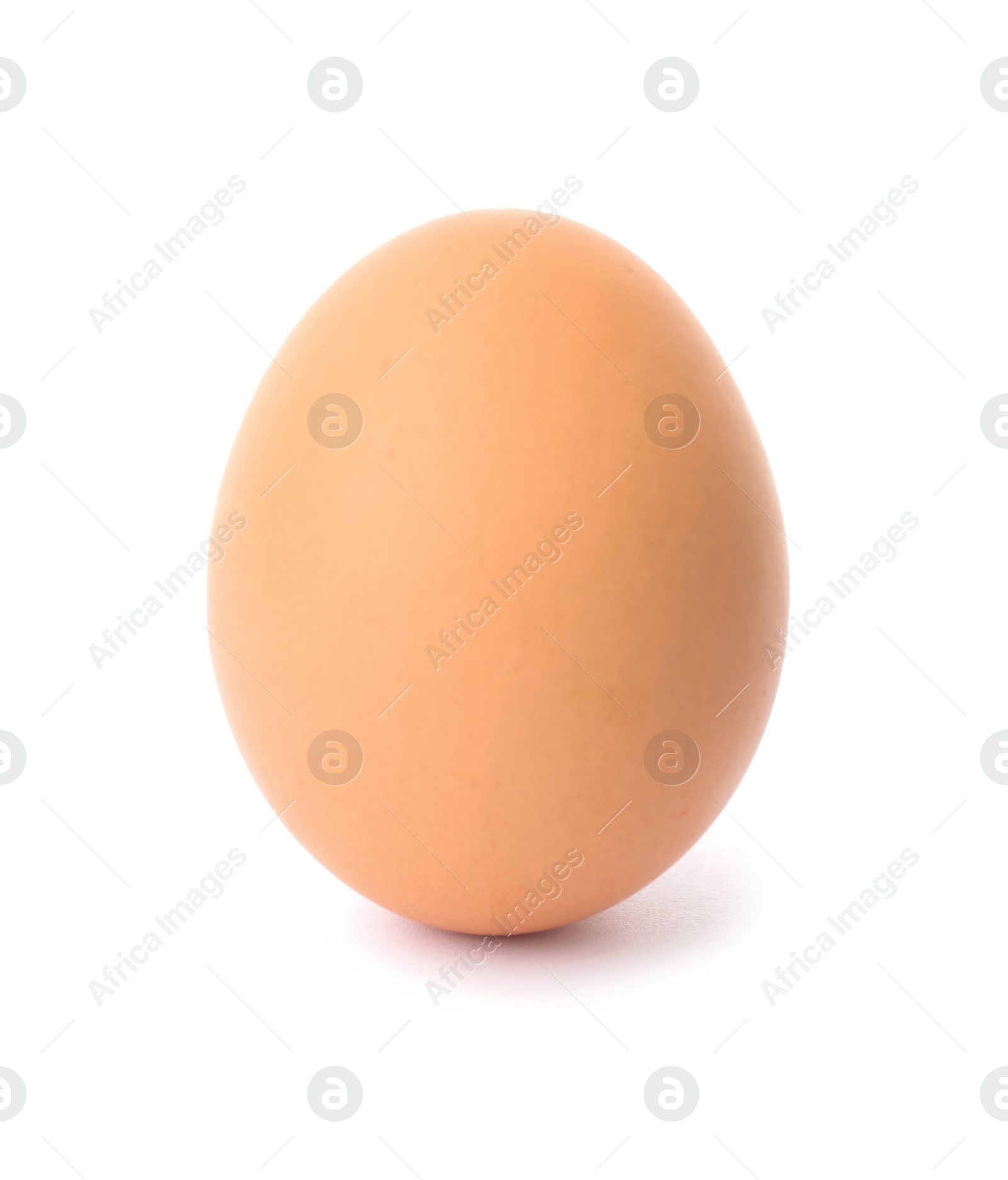 Photo of One brown chicken egg on white background