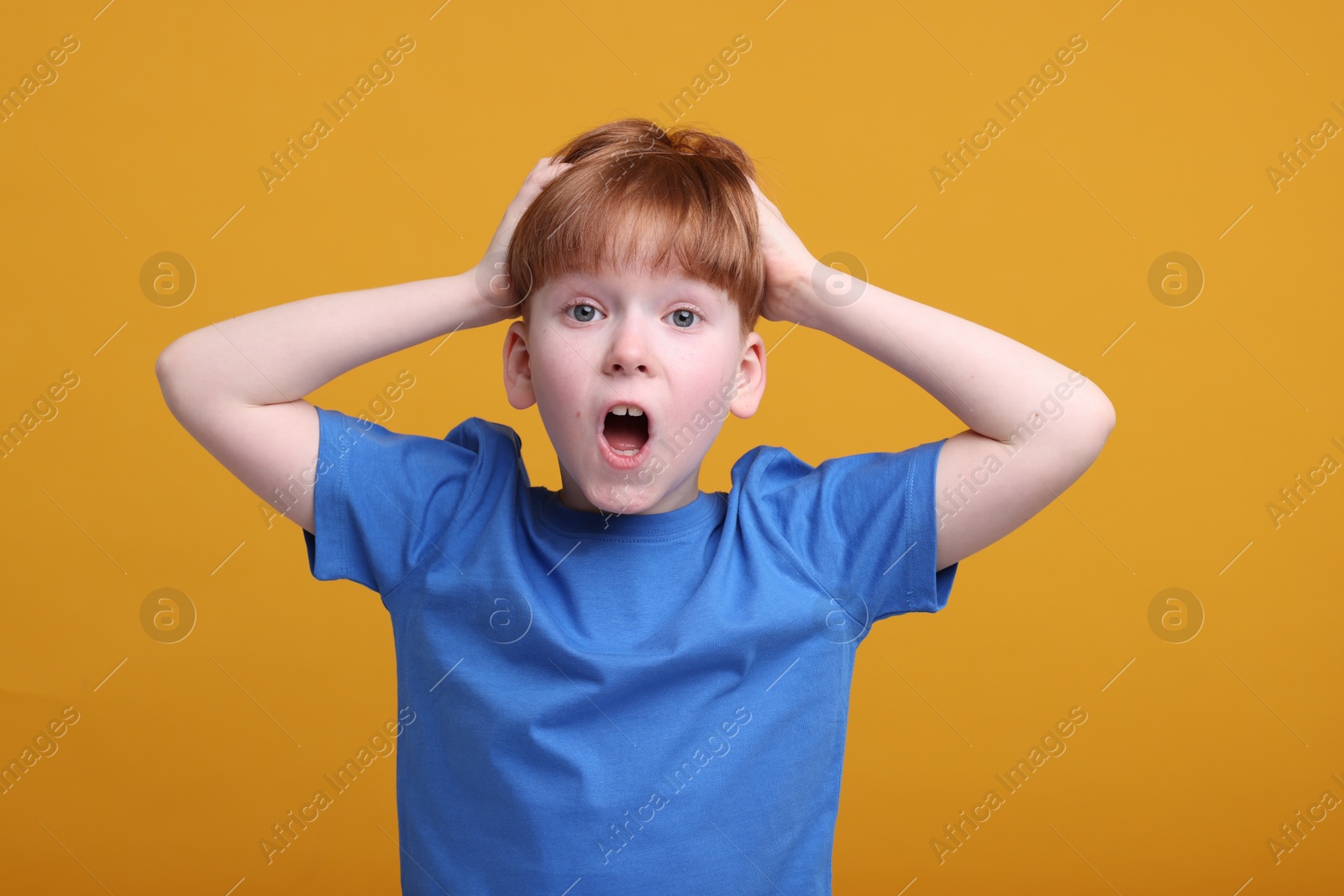 Photo of Portrait of surprised little boy on orange background