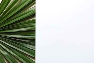 Photo of Creative composition with tropical foliage and card as background, top view