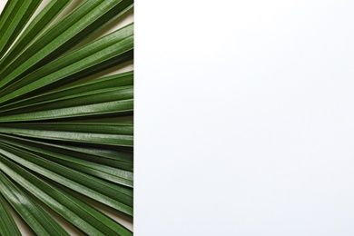 Creative composition with tropical foliage and card as background, top view