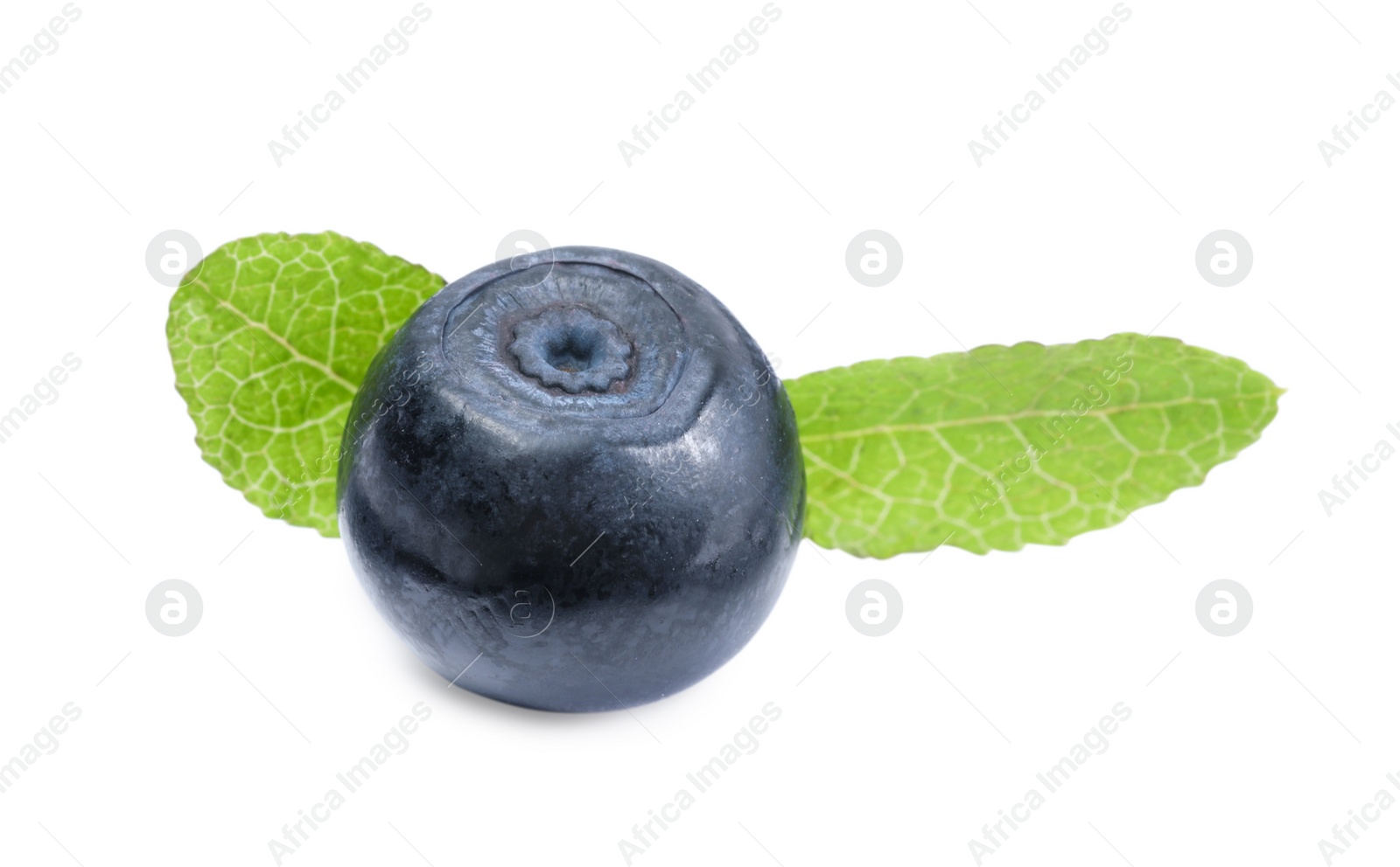 Photo of Tasty ripe bilberry and green leaves isolated on white