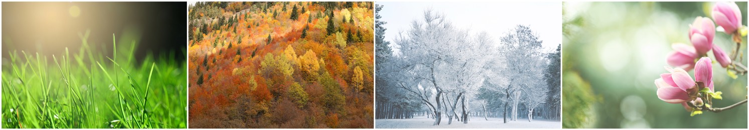 Image of Four seasons. Collage design with beautiful photos of nature
