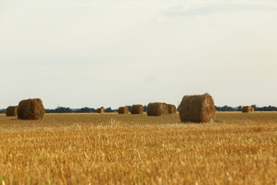 Beautiful view of agricultural field with hay bales