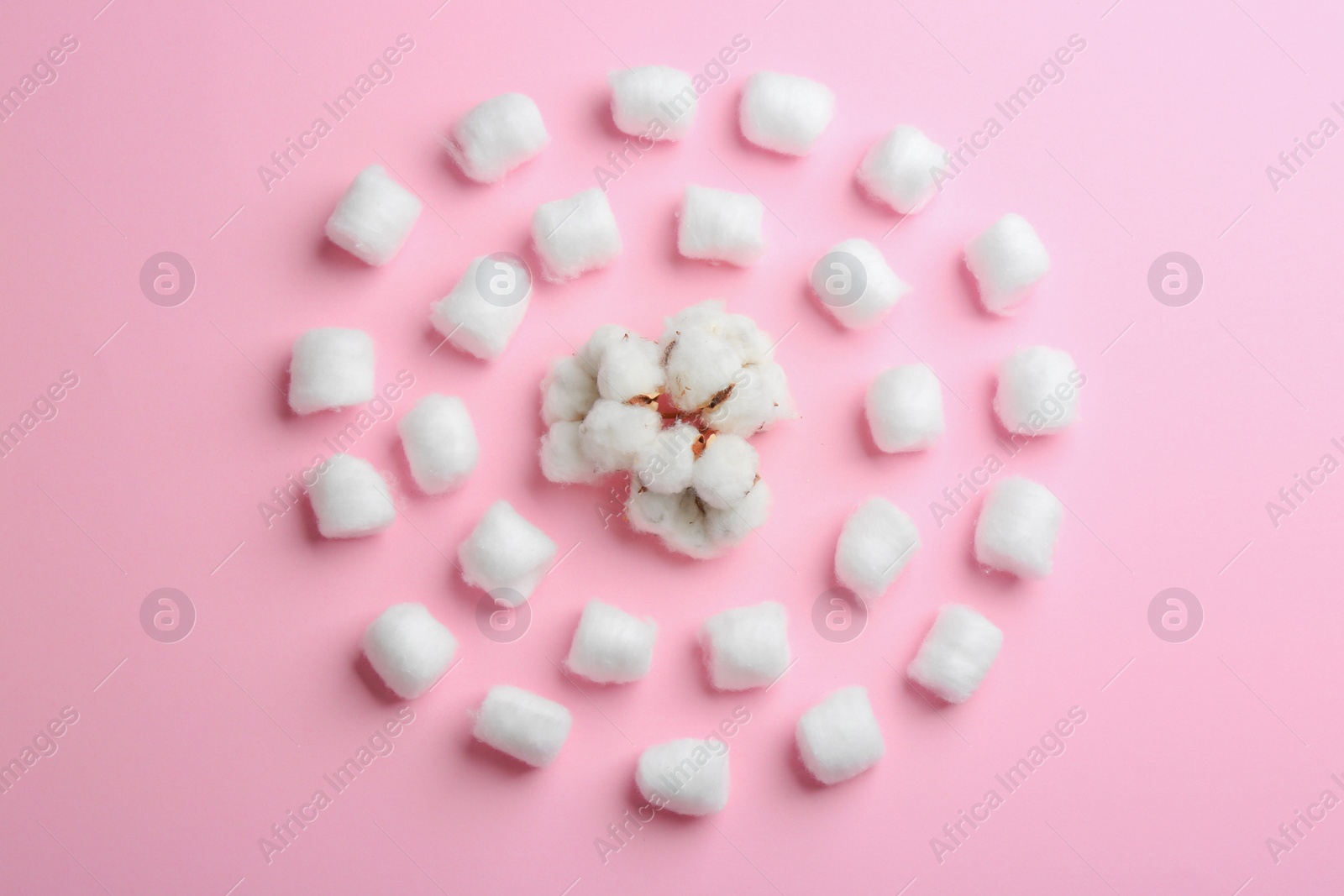 Photo of Flat lay composition with cotton balls and flowers on pink background