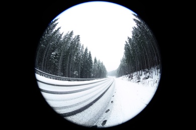 Photo of Beautiful view of conifer forest near road on snowy winter day, fish eye effect