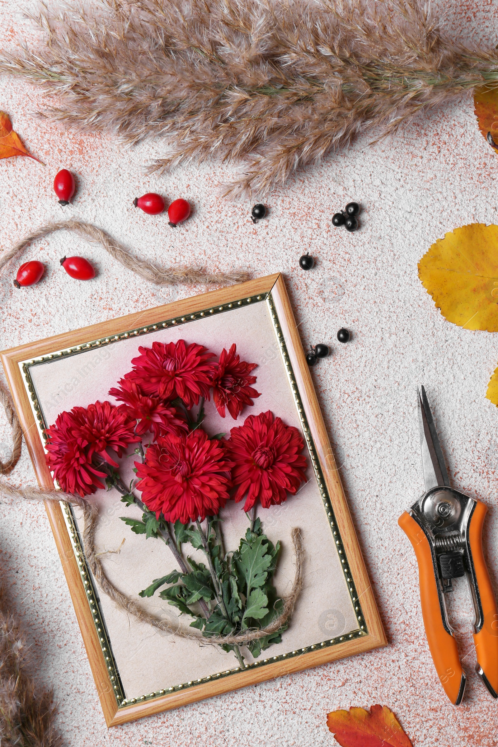 Photo of Flat lay composition with secateurs, twine and Chrysanthemum flowers on light textured table