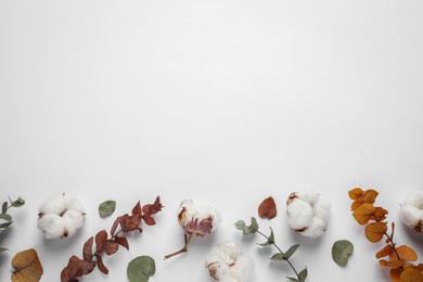 Photo of Fluffy cotton flowers and leaves on white background, flat lay. Space for text