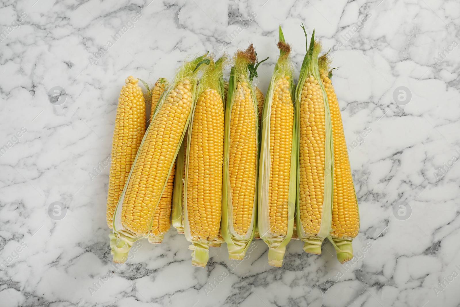 Photo of Tasty sweet corn cobs on marble table, top view