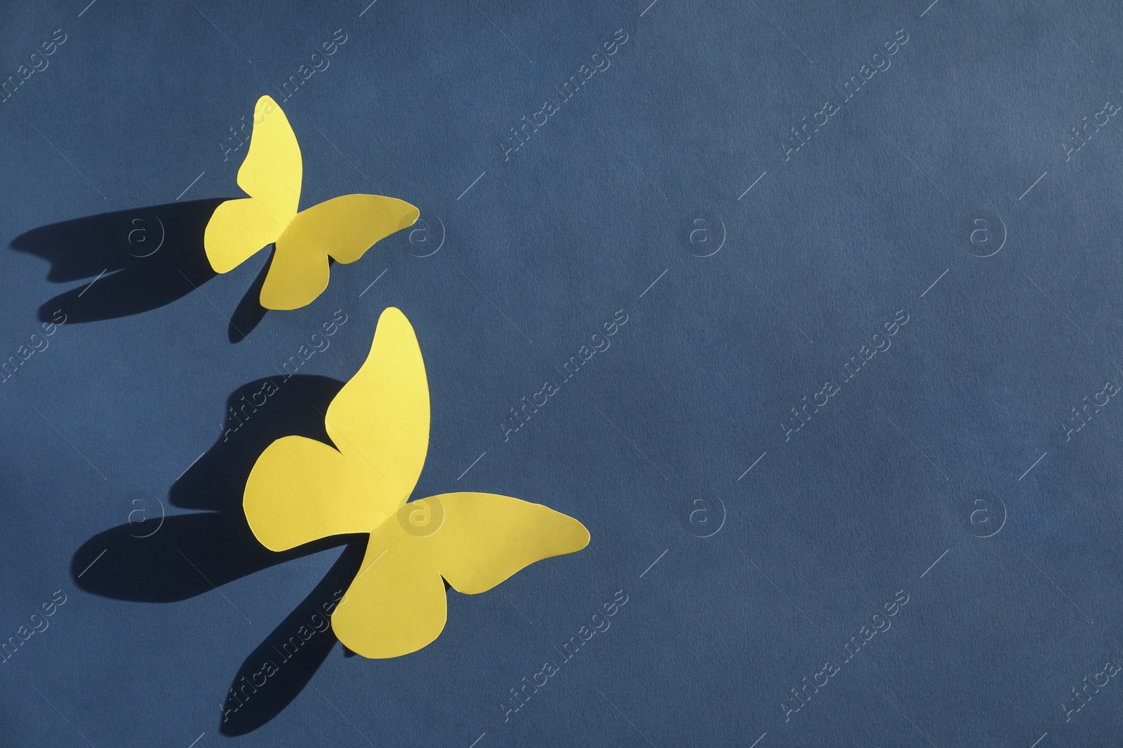 Photo of Yellow paper butterflies on dark blue background, top view. Space for text