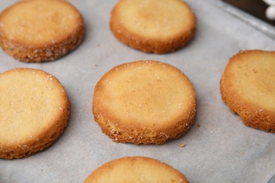 Photo of Tasty sweet sugar cookies on tray, closeup