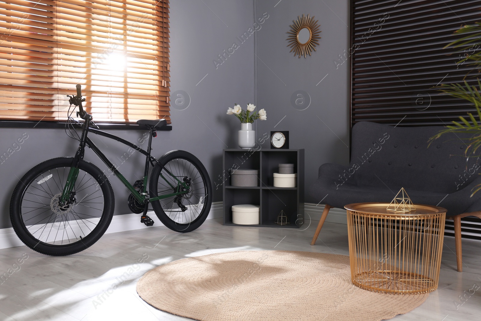 Photo of Modern bicycle and comfortable sofa in stylish living room interior