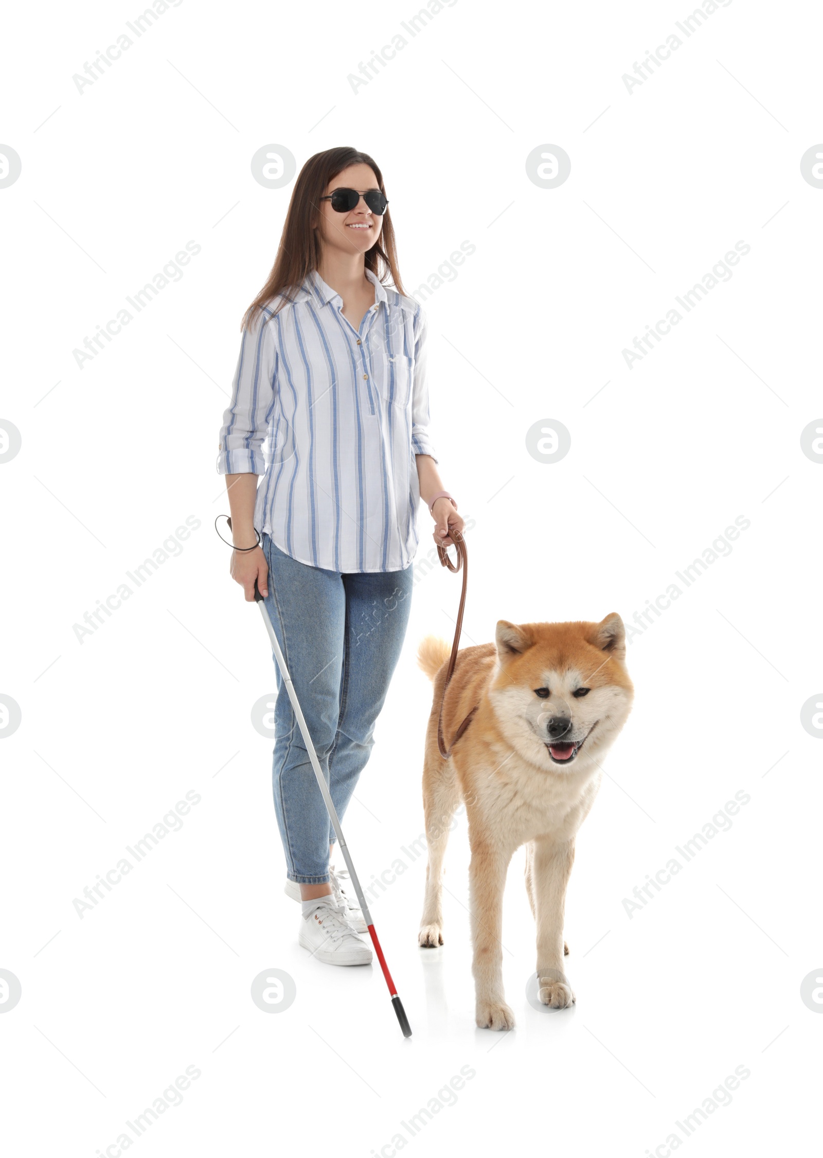 Photo of Blind woman with walking stick and dog on leash against white background