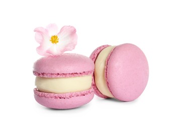 Photo of Pink macarons and flower on white background. Delicious dessert