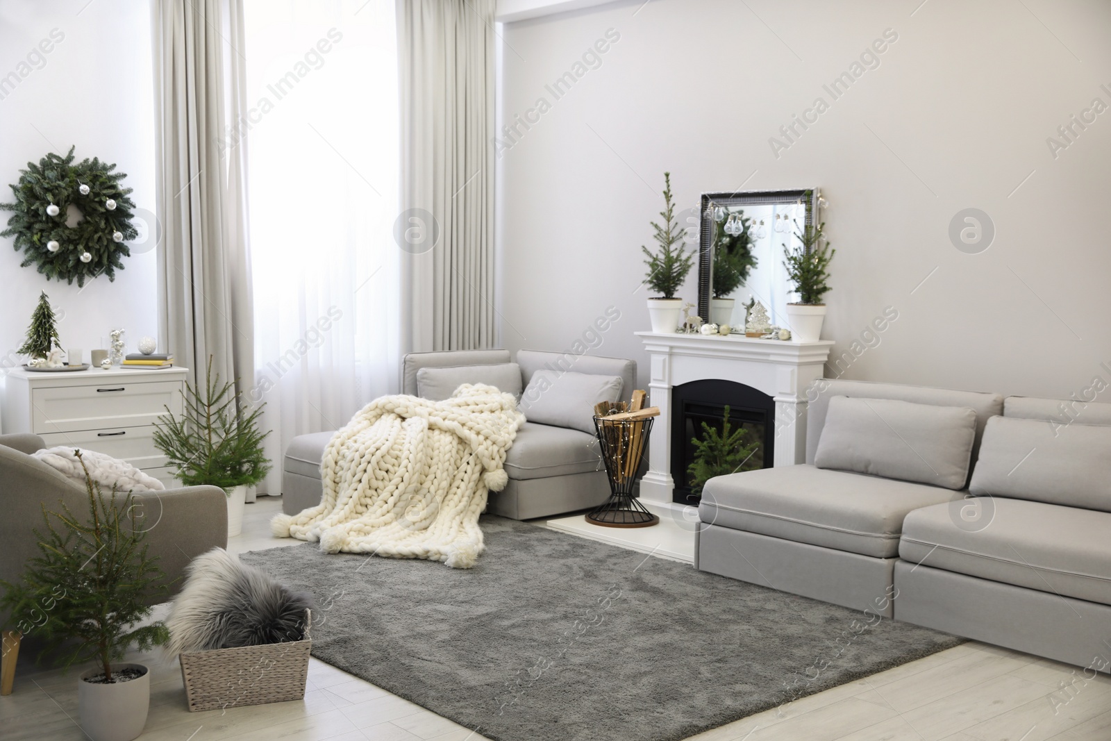 Photo of Stylish living room interior with little fir trees and Christmas decorations