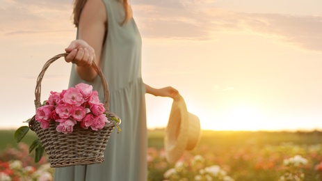 Woman with basket of roses in beautiful blooming field, closeup