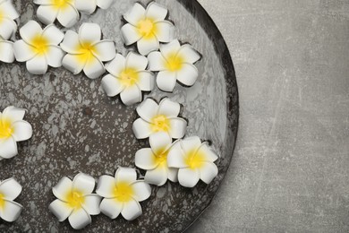 Bowl of water with flowers on light grey table, top view and space for text. Spa treatment