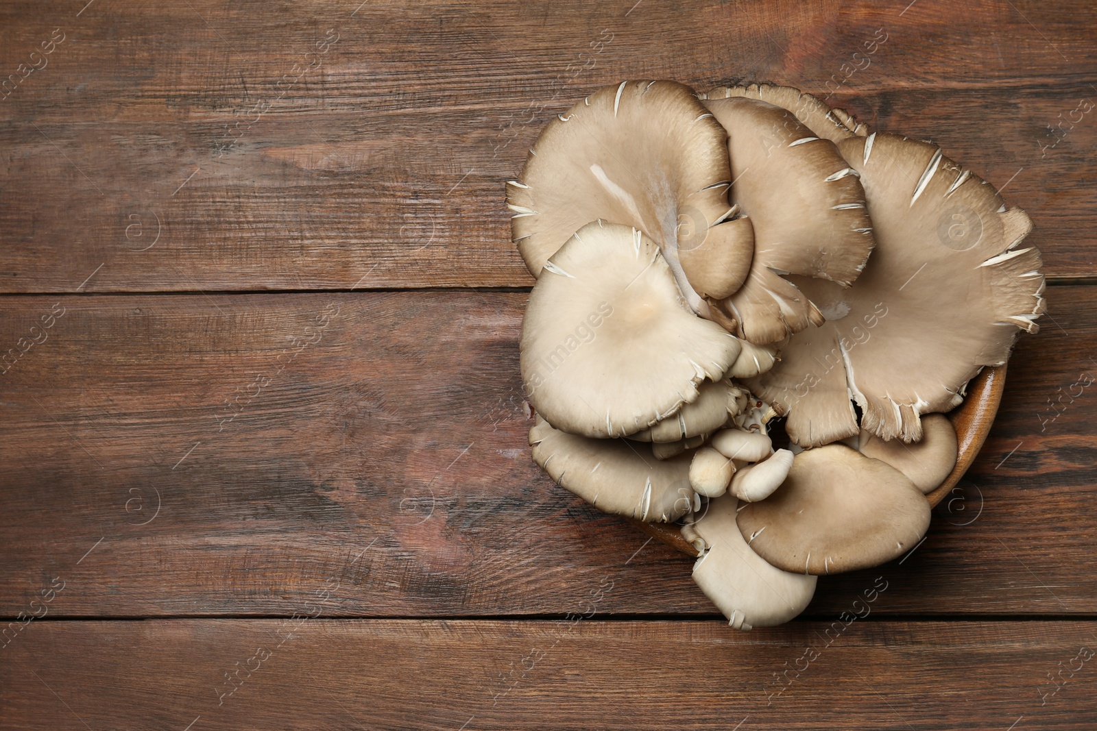 Photo of Bowl of delicious organic oyster mushrooms on wooden background, top view with space for text